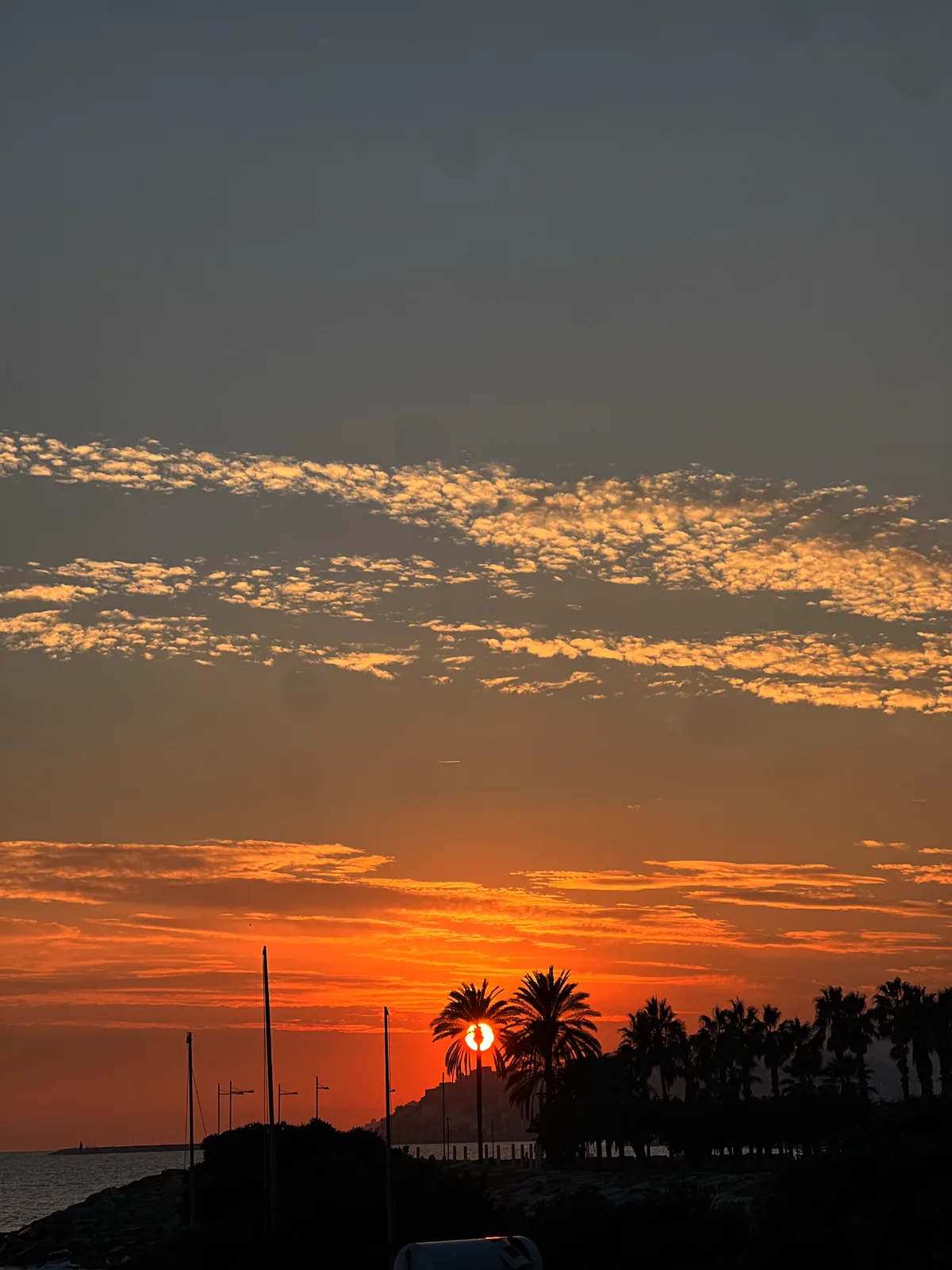 Il tramonto visto dal locale: il sole che scende tra le palme del lungomare